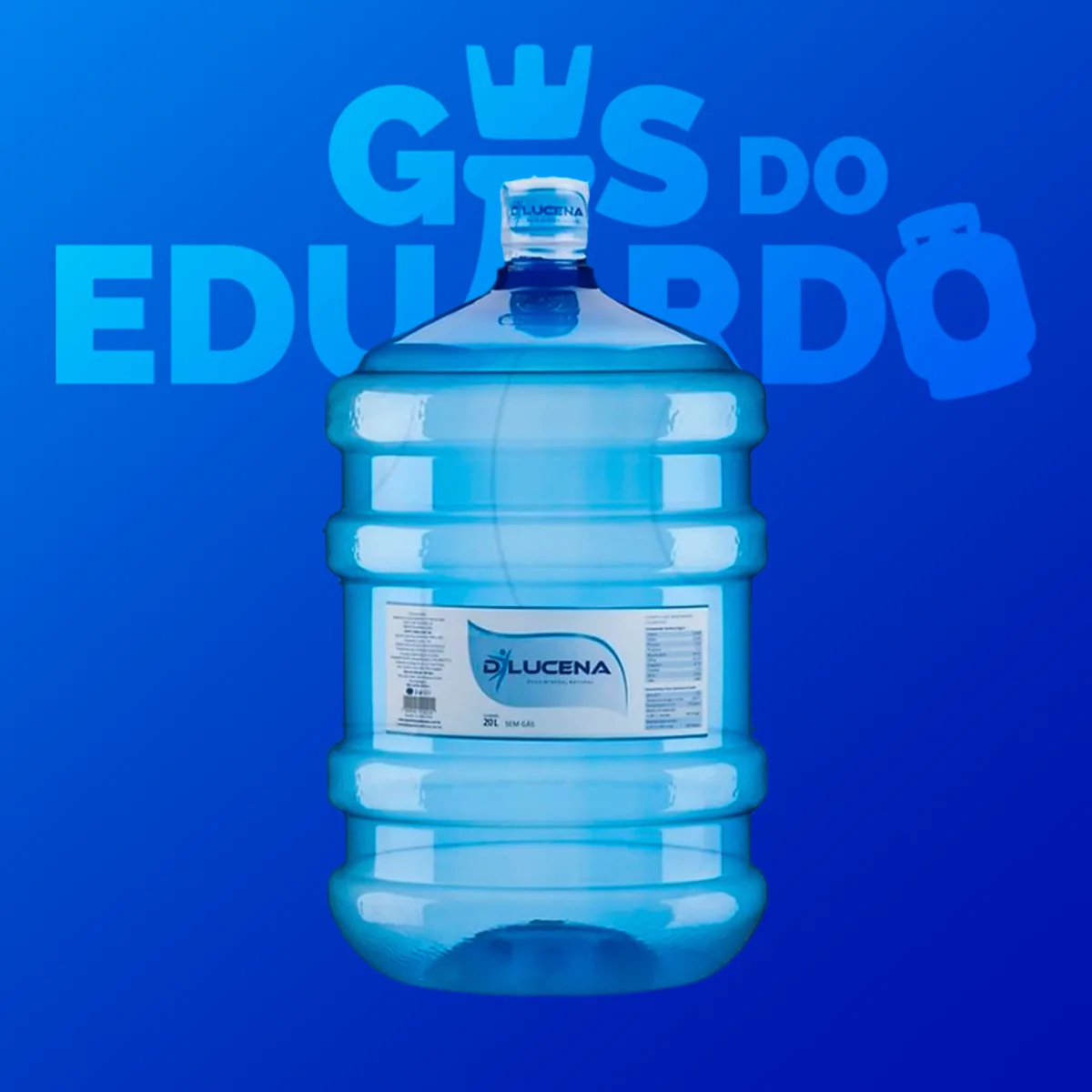 Agua Mineral 20l D'Lucena