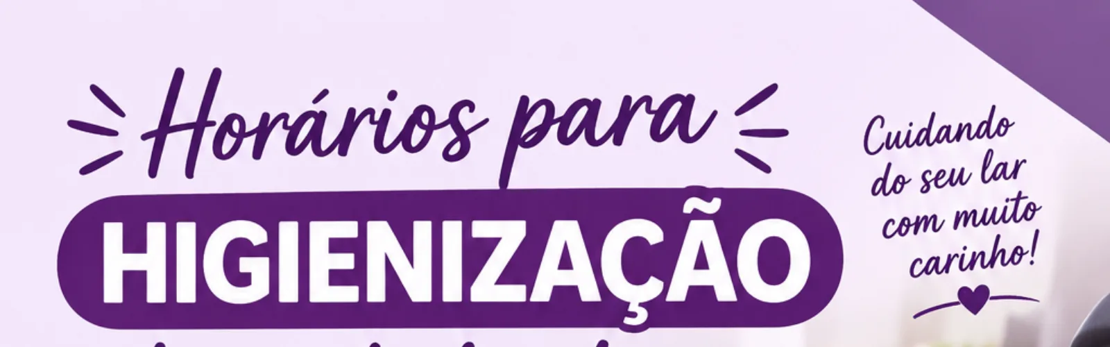 Banner da loja Faxina/Higienização