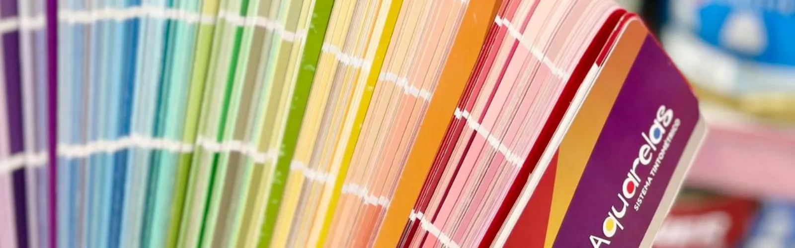Banner da loja Ragagnin Tintas LTDA