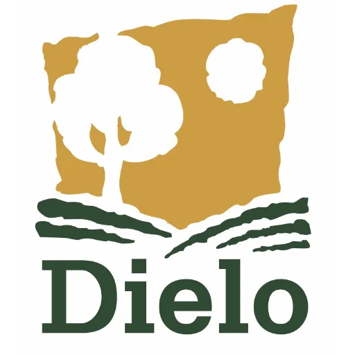 Dielo Produtora de Alimentos